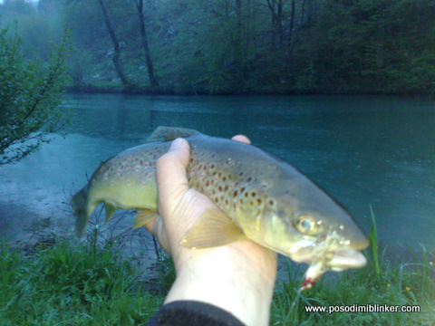 Fly Fishing Krka