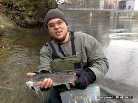 Huchen on the fly, Ljubljanica