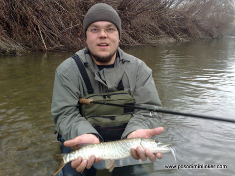 Pike on the fly, Ljubljanica