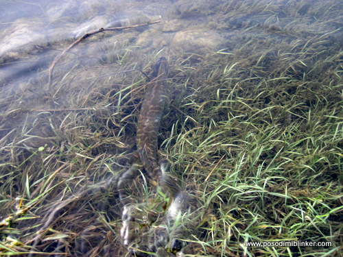 Una, Bosnia and Herzegovina