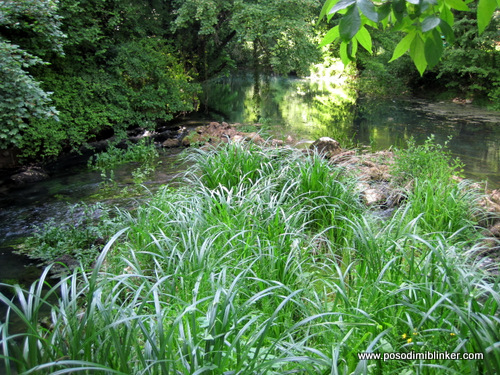 Photography by ÄŒrt N.