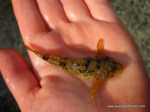 Photography by ÄŒrt N.