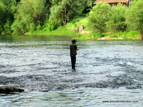 Photography by ÄŒrt N.