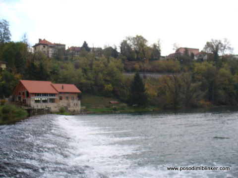 Barbel on the gummifisch